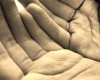 Hands Hands